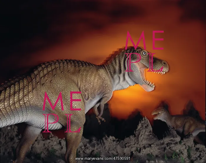 : Tyrannosaurus rex : Tyrannosaurus rex