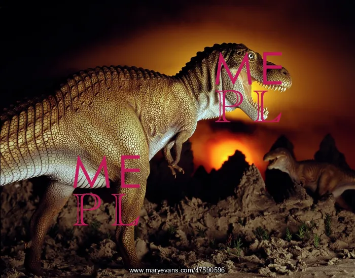 : Tyrannosaurus rex : Tyrannosaurus rex