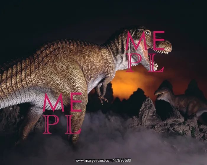 : Tyrannosaurus rex : Tyrannosaurus rex