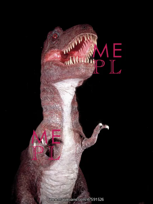: Tyrannosaurus rex : Tyrannosaurus rex
