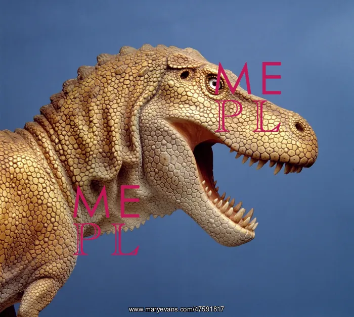 : Tyrannosaurus rex : Tyrannosaurus rex