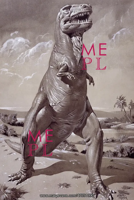 : Tyrannosaurus rex : Tyrannosaurus rex
