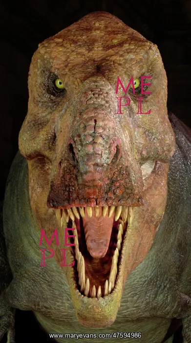 : Tyrannosaurus rex : Tyrannosaurus rex