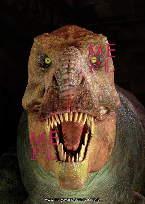: Tyrannosaurus rex : Tyrannosaurus rex