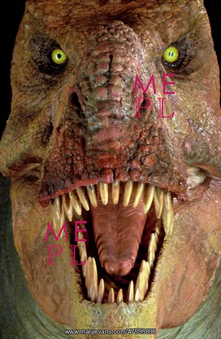 : Tyrannosaurus rex : Tyrannosaurus rex