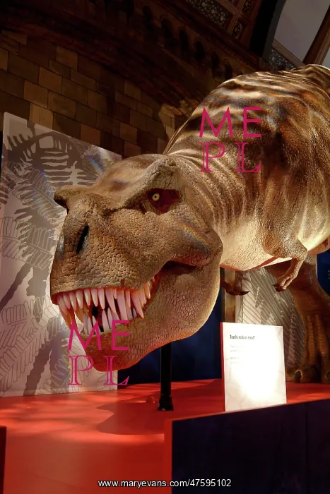  : Tyrannosaurus rex