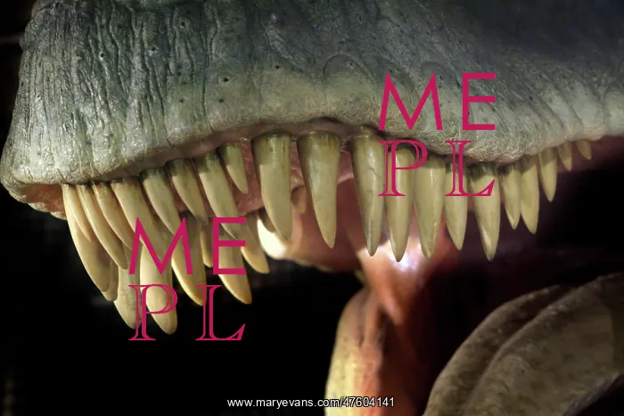 : Tyrannosaurus rex : Tyrannosaurus rex