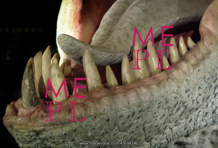 : Tyrannosaurus rex : Tyrannosaurus rex