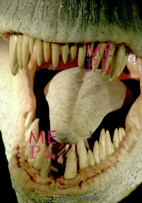 : Tyrannosaurus rex : Tyrannosaurus rex