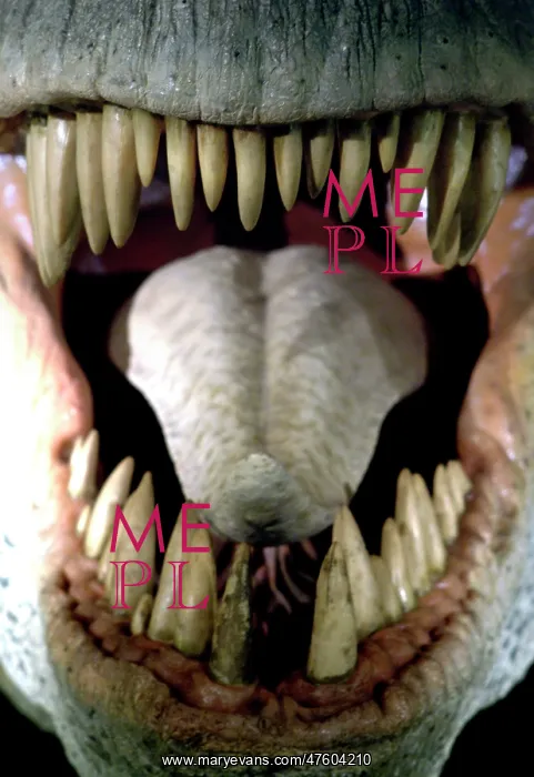 : Tyrannosaurus rex : Tyrannosaurus rex
