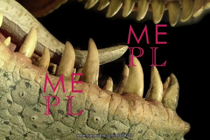 : Tyrannosaurus rex : Tyrannosaurus rex