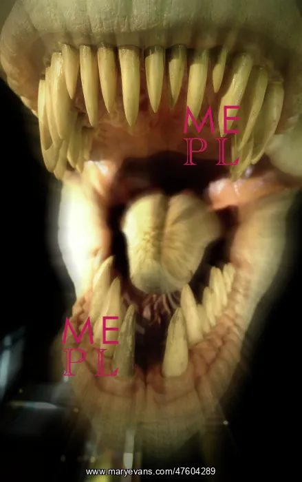 : Tyrannosaurus rex : Tyrannosaurus rex