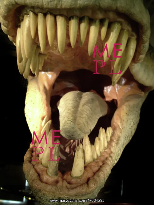 : Tyrannosaurus rex : Tyrannosaurus rex
