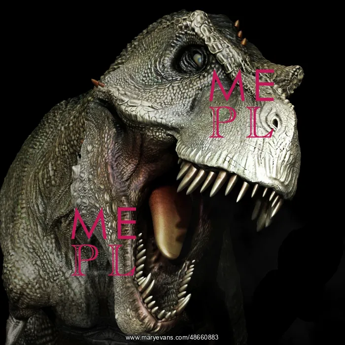 : Tyrannosaurus rex dinosaur head, front view : Tyrannosaurus rex dinosaur head, front view