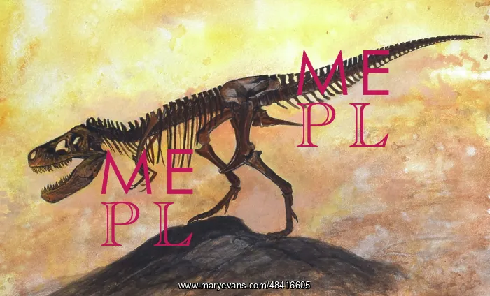 : Tyrannosaurus rex dinosaur skeleton : Tyrannosaurus rex dinosaur skeleton