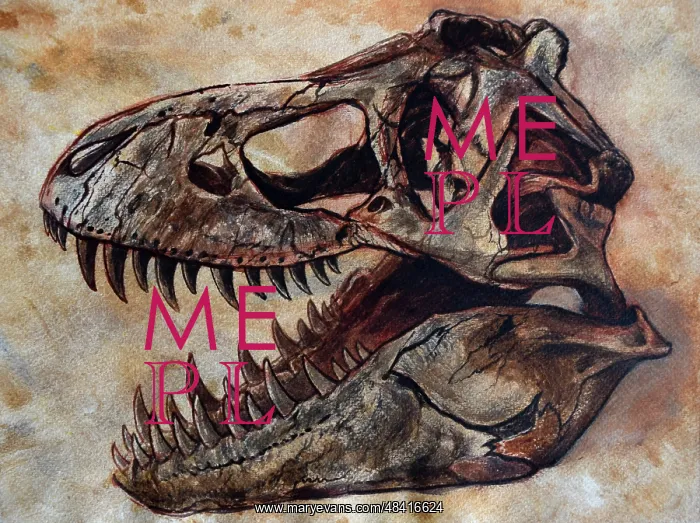 : Tyrannosaurus rex dinosaur skull : Tyrannosaurus rex dinosaur skull