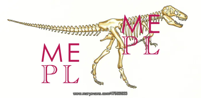 : Tyrannosaurus rex skeleton : Tyrannosaurus rex skeleton