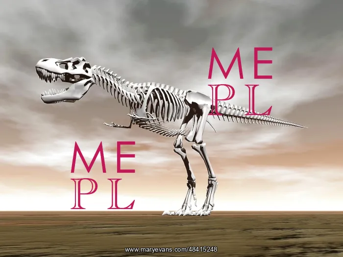: Tyrannosaurus rex skeleton : Tyrannosaurus rex skeleton