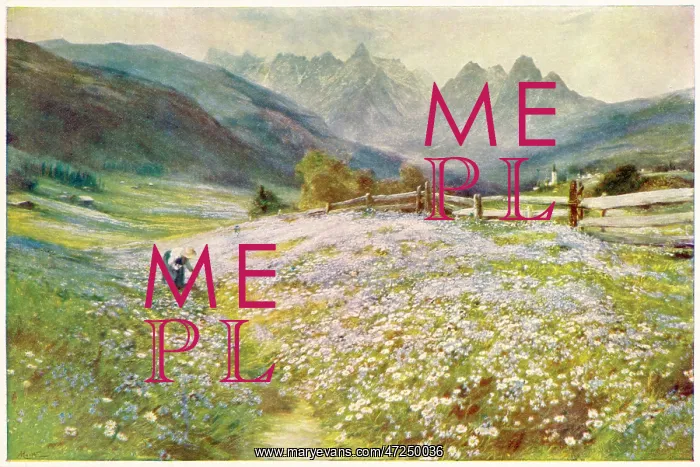  : TYROL FLOWER PICKER