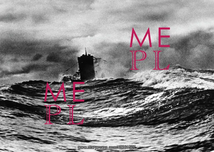 : U 203 in the Atlantic, 1942 : U 203 in the Atlantic, 1942