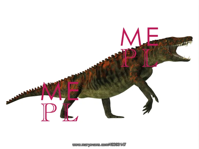 : Uberabasuchus, side profile : Uberabasuchus, side profile