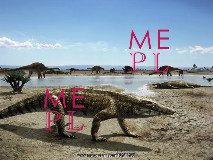 : Uberabasuchus terrificus in an arid climate : Uberabasuchus terrificus in an arid climate