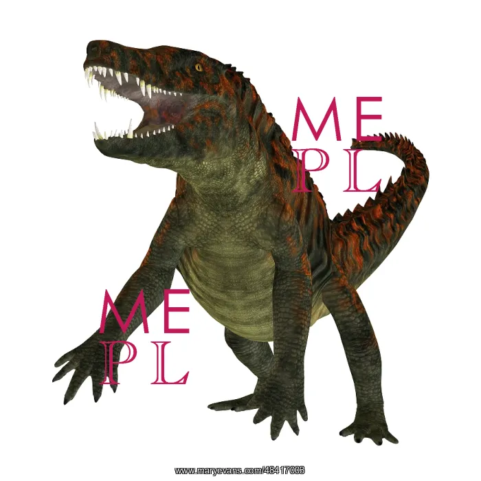 : Uberabasuchus on white background : Uberabasuchus on white background