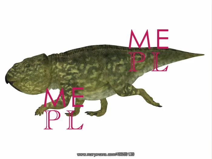 : Udanoceratops dinosaur, side profile : Udanoceratops dinosaur, side profile