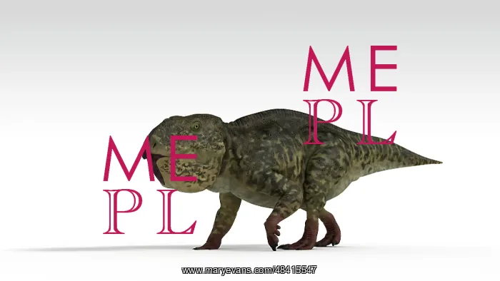 : Udanoceratops dinosaur, white background : Udanoceratops dinosaur, white background