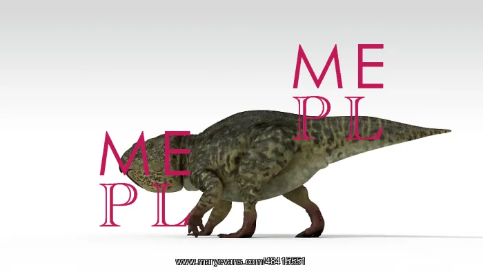 : Udanoceratops dinosaur, white background : Udanoceratops dinosaur, white background