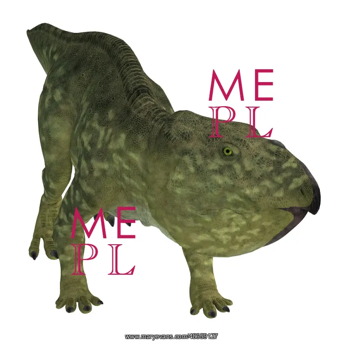 : Udanoceratops dinosaur, white background : Udanoceratops dinosaur, white background
