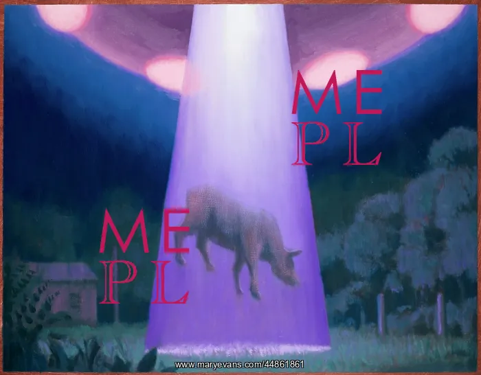 : UFOS / CATTLE MUTILATION : UFOS / CATTLE MUTILATION