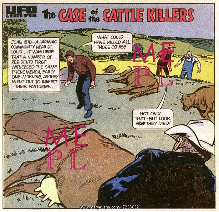 : UFOS / MISSOURI CATTLE : UFOS / MISSOURI CATTLE