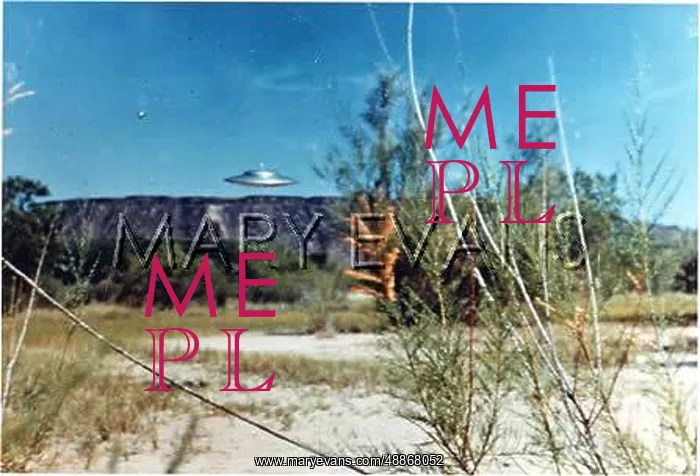 : UFOS / NEW MEXICO / VILLA : UFOS / NEW MEXICO / VILLA