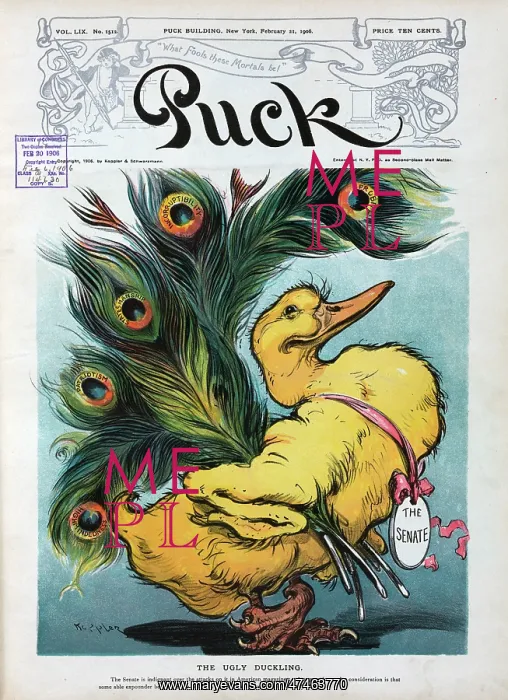 : The ugly duckling : The ugly duckling