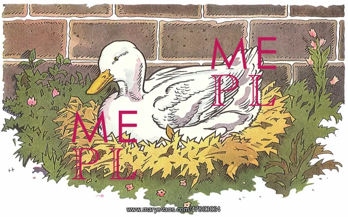  : Ugly Duckling in Nest