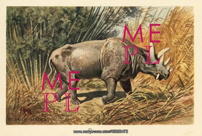 : Uintatherium anceps in a jungle clearing : Uintatherium anceps in a jungle clearing
