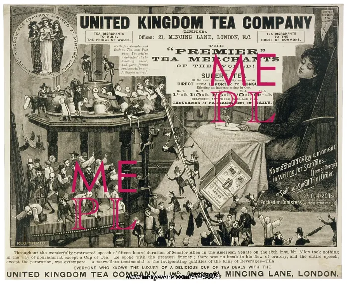 : UK TEA COMPANY : UK TEA COMPANY