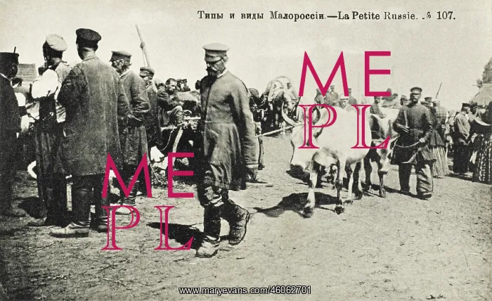 : Ukrainians with oxen : Ukrainians with oxen