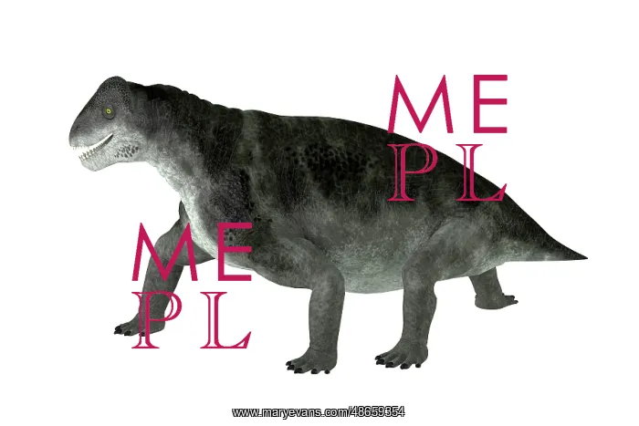 : Ulemosaurus prehistorica animal from the Permian : Ulemosaurus prehistorica animal from the Permian