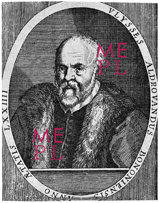 : Ulisse Aldrovandi : Ulisse Aldrovandi