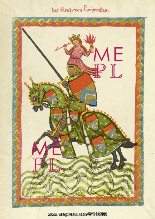 : ULRICH VON LIECHTENSTEIN : ULRICH VON LIECHTENSTEIN