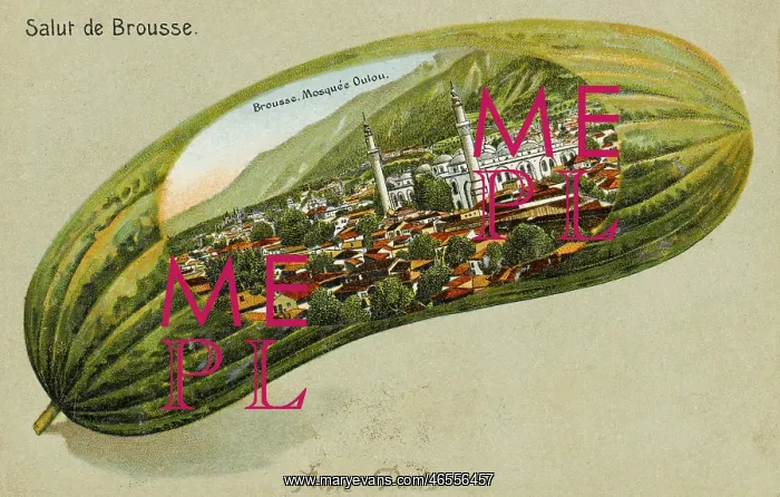 : The Ulu Mosque, Bursa : The Ulu Mosque, Bursa