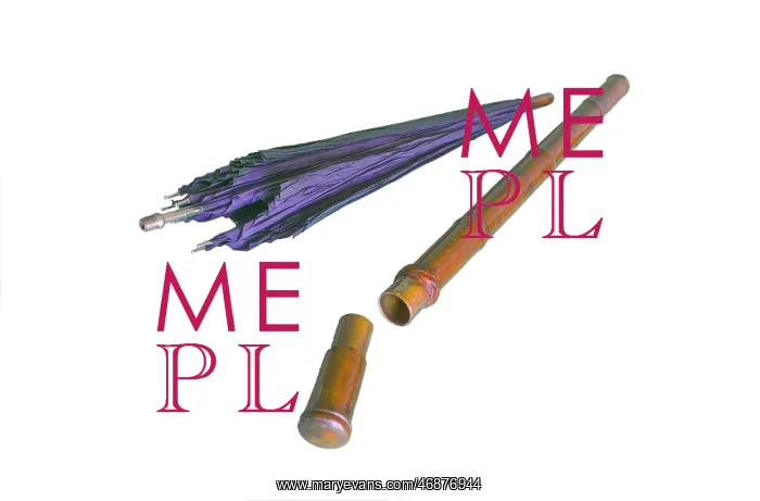 : Umbrella cane : Umbrella cane