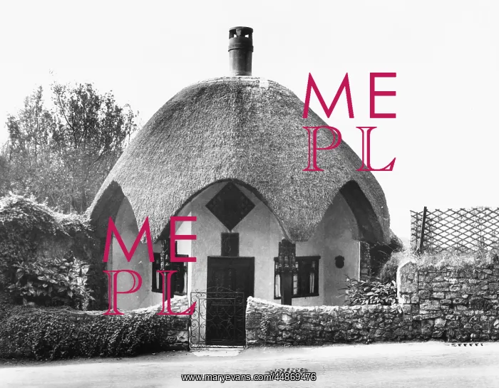 : THE UMBRELLA COTTAGE : THE UMBRELLA COTTAGE