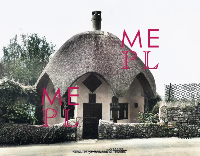 : THE UMBRELLA COTTAGE : THE UMBRELLA COTTAGE