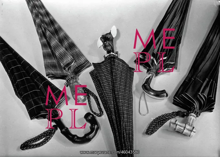  : Five umbrellas