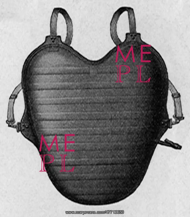  : Umpire Chest Protector