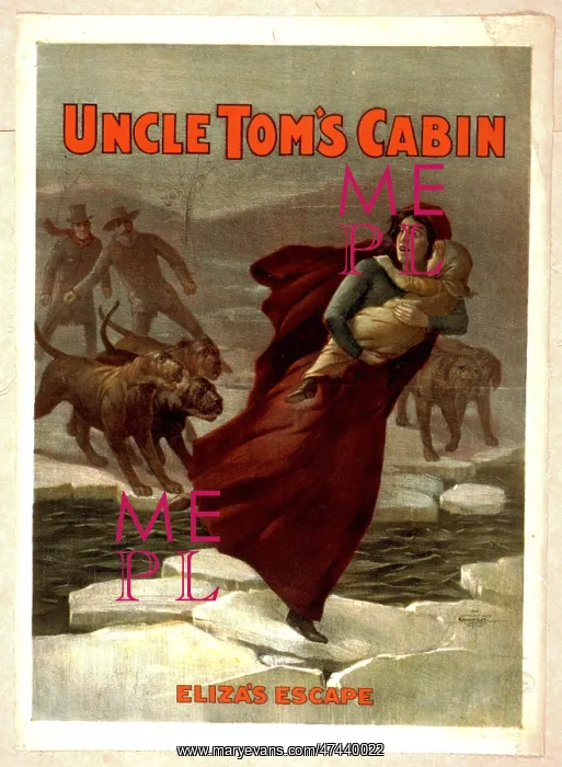  : Uncle Tom's cabin