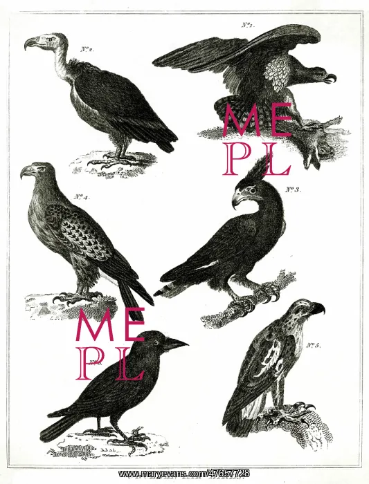  : Unclean Air Birds - Judaism
